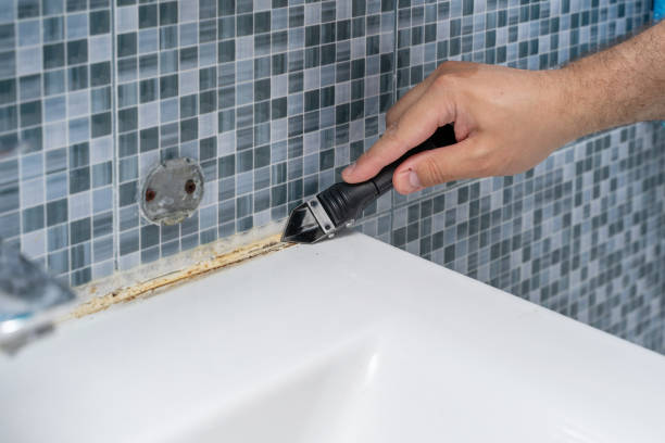 Best Home Mold Removal  in Rathdrum, ID
